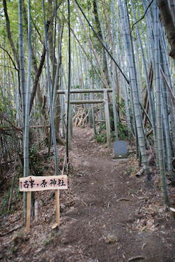 高鶴山登山コース