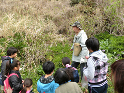 鈴木さんのガイドで浜辺の野草を蒐集する子ども達