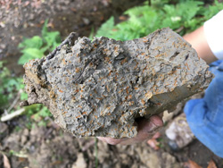 鴨川で採掘された重粘土の土 赤く染まった線は草木の根が呼吸した跡だという
