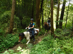 馬森牧場での乗馬体験の様子
