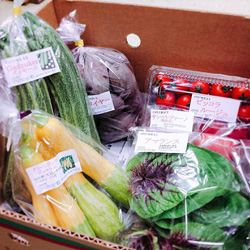 野菜のセット販売も行っている